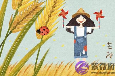 020鼠年芒种节气戌时出生属鼠宝宝命好吗？"