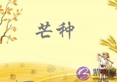 020年芒种节气巳时生人五行缺什麽,是什麽命?"