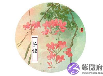 020年芒种节气巳时生人五行缺什麽,是什麽命?"