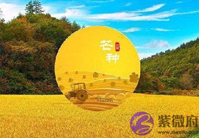 020年芒种节气寅时出生的宝宝命好不好,五行分析"