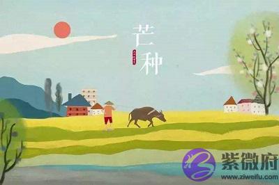 020年芒种节气寅时出生的宝宝命好不好,五行分析"