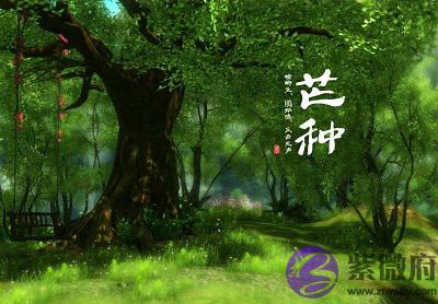 020鼠年芒种节气申时出生的宝宝命好吗?"