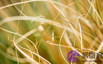 020年夏至节气丑时出生的宝宝命运怎麽样?"