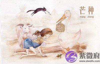 020年芒种节气亥时生人五行缺什麽,是什麽命?"