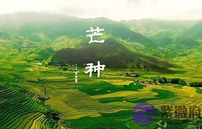 020年芒种节气亥时生人五行缺什麽,是什麽命?"