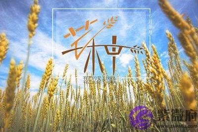 020年芒种出生的命运好不好?芒种后是梅雨季节吗?"