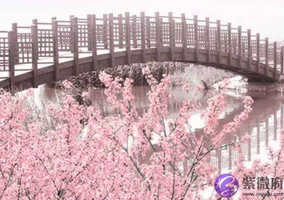2020年9月7号七月二十白露出生的女孩命好吗，是什麽命
