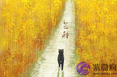 020鼠年芒种节气辰时出生属鼠宝宝命好吗?"