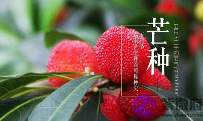 020年芒种节气丑时出生宝宝喜用神是什麽命如何？"