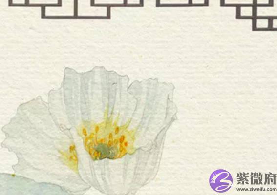 2020年8月22号七月初四处暑出生的女孩命好吗,是什麽命