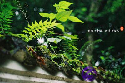 020鼠年五月十七小暑后一天是适合求嗣的日子吗?"