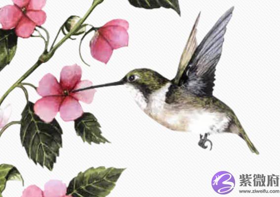 2020年8月7号六月十八立秋出生的女孩命好吗，是什麽命