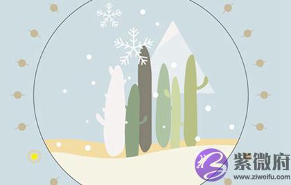 测字算卦,2020年小雪忌出行吗,2020年小雪几点开始？