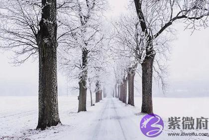 生辰生辰@￥,2020年大雪前一天忌讳出殡吗,大雪节气的由来是什麽？