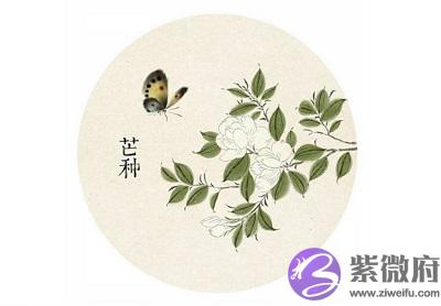 芒种后的第九天交运什麽意思？2020年芒种出生的人好吗？
