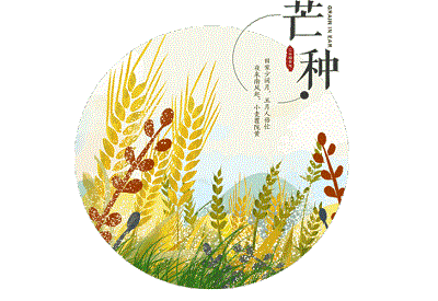 芒种后的第九天交运什麽意思？2020年芒种出生的人好吗？