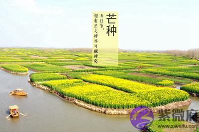 芒种后的第九天交运什麽意思？2020年芒种出生的人好吗？
