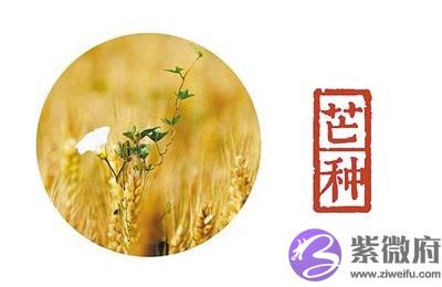 芒种节气简介，生肖属蛇的人芒种节气出生命运怎麽样？