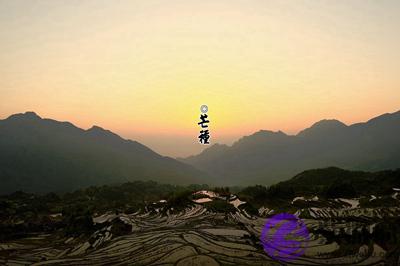 生肖属兔的人芒种节气出生好不好?芒种有什麽活动?