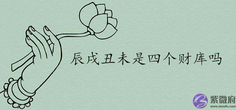 八字辰戌丑未是四个财库吗 八字辰戌丑未是四个财库吗