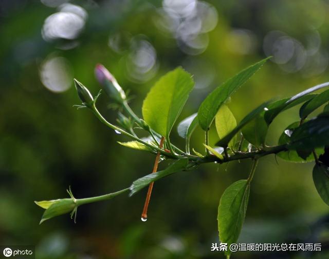 什么叫生辰生辰？生辰生辰是什么意思？