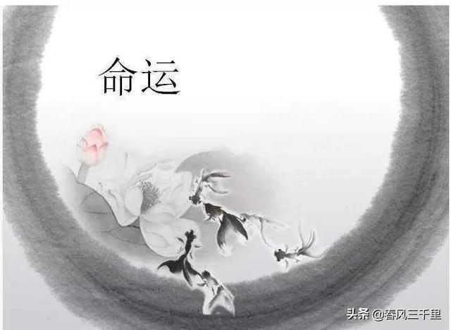 为什么有的人一生命运多舛多灾多难，你相信命运天注定吗？