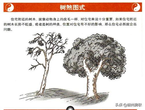 这可能是关于住宅风水煞气比较完整的解释，图文并茂，一看就懂
