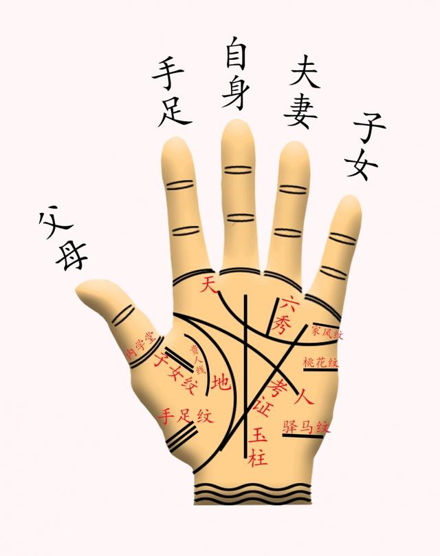 “六亲不认”指的是哪六亲？你能说出几个？