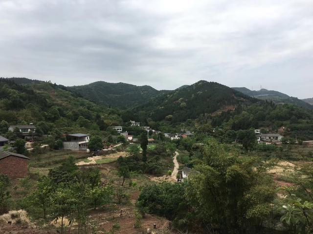 局无财官印的生辰，如何构成合禄格？
