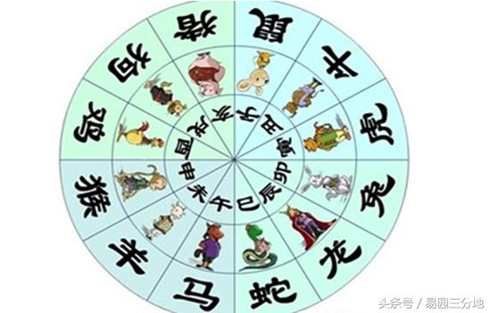 生辰年支隐藏的秘密