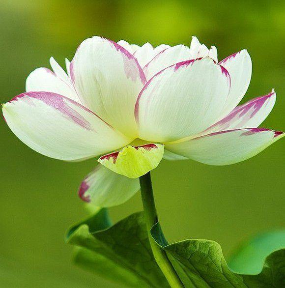 生辰命理怎样判断日主的强弱,掌握以下10条,便能准确判断