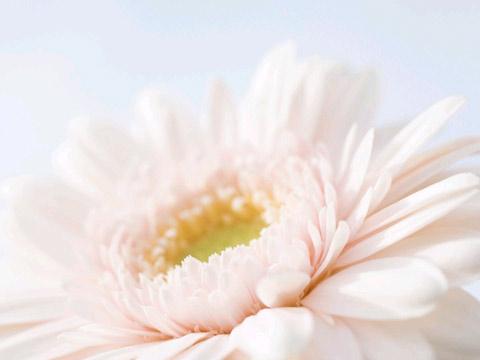 生辰胎元是什么意思