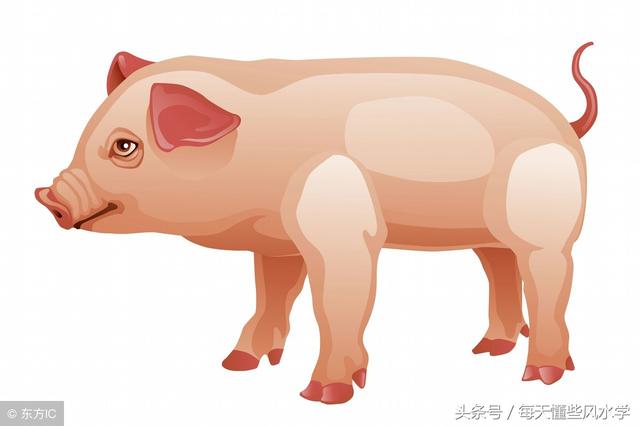 盲师断命秘诀集锦