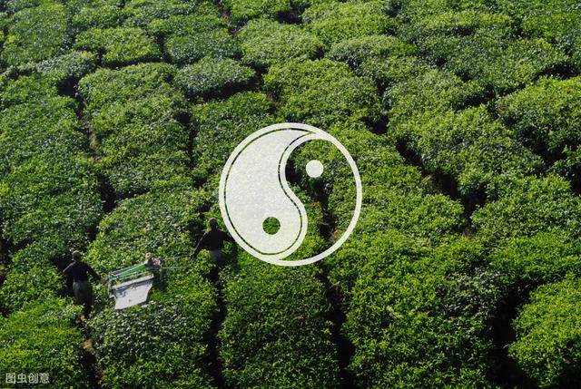 旺相休闪死，是五行在不同时空状态下的几种不同的存在状态