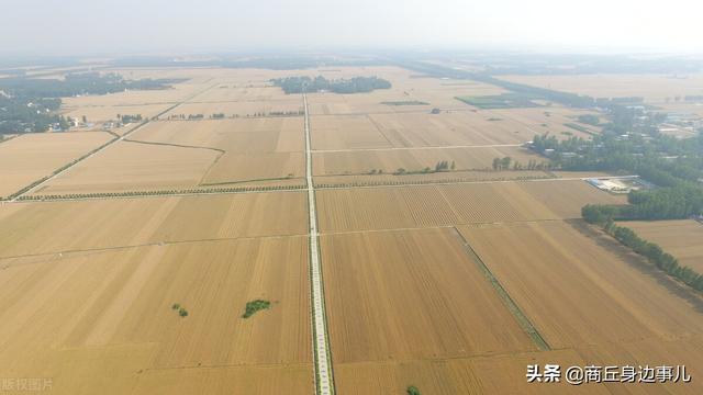 睢县涧岗集老木匠驹爷，一口气生了五个儿子，柱，栋，梁、檩、椽