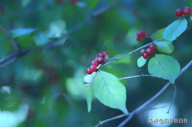 命运是什么？命是以生命活着，运是活着能运动