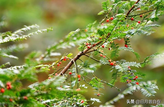 命运是什么？命是以生命活着，运是活着能运动