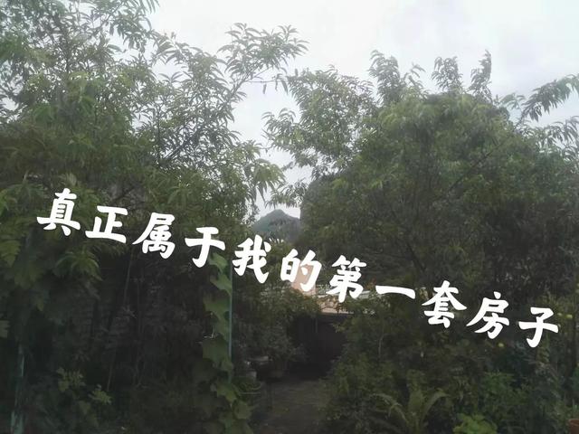一穷二白时的买房记！我强悍不过命运，但强悍得过自己