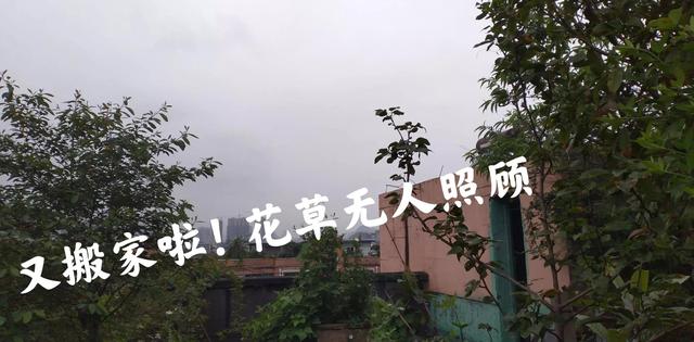 一穷二白时的买房记！我强悍不过命运，但强悍得过自己