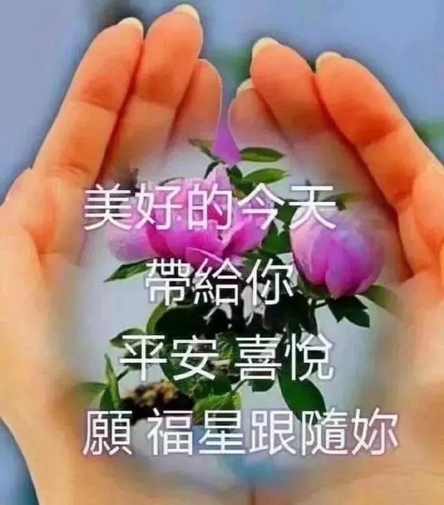 人生在世，三分天注定，七分靠打拼，爱拼才会赢，早安