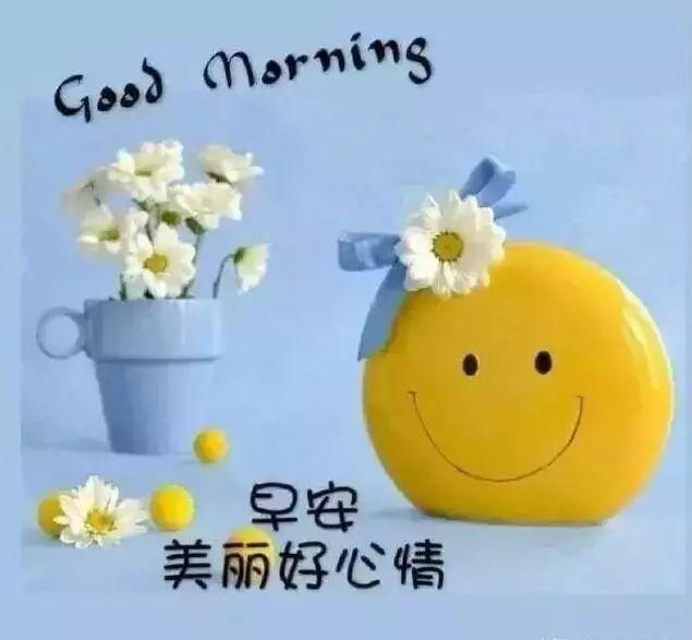 人生在世，三分天注定，七分靠打拼，爱拼才会赢，早安