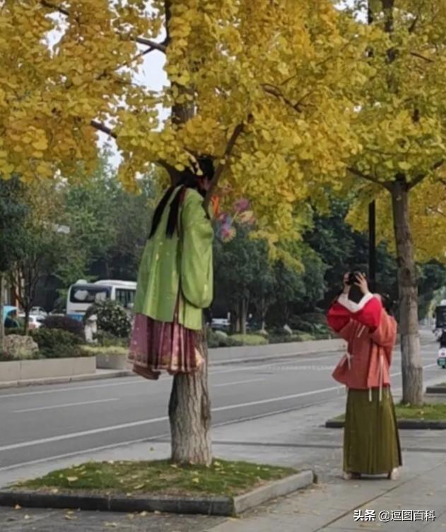 一时间不知道该吃哪个