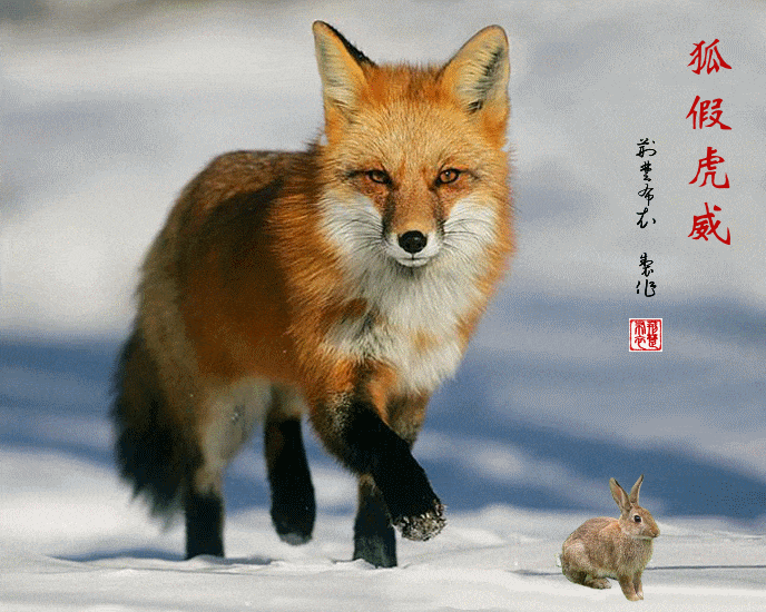 都是一样的“人”，看测字先生如何为曾国藩道破天机