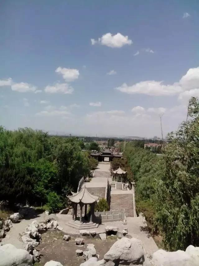 婆婆出嫁前，曾找人算过命，说她命中有福，一生背靠大树好乘凉