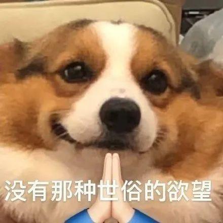 过年应对亲戚催婚的50种方法！亲戚：别骂了我闭嘴还不行吗？