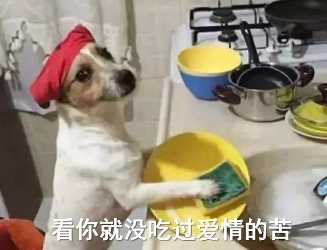 过年应对亲戚催婚的50种方法！亲戚：别骂了我闭嘴还不行吗？