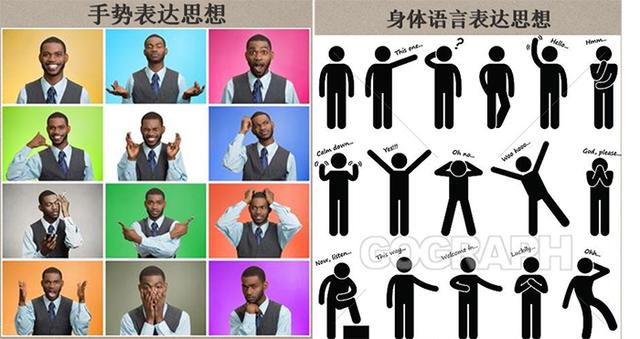 海外中国医学史｜韩嵩：中国古典医学中的技术型身体观