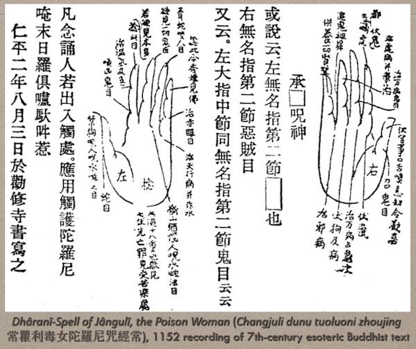 海外中国医学史｜韩嵩：中国古典医学中的技术型身体观