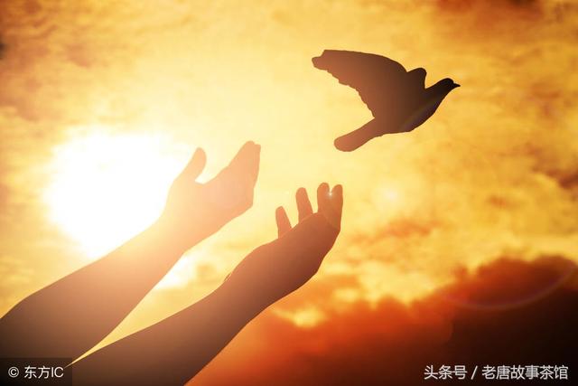 @￥先生说我无子送终，我有2儿3女时，才发现他所言非虚