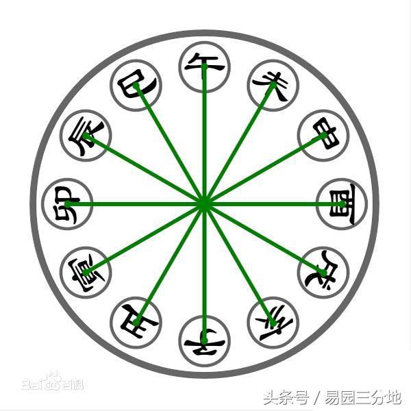 生辰地支相冲隐藏的秘密